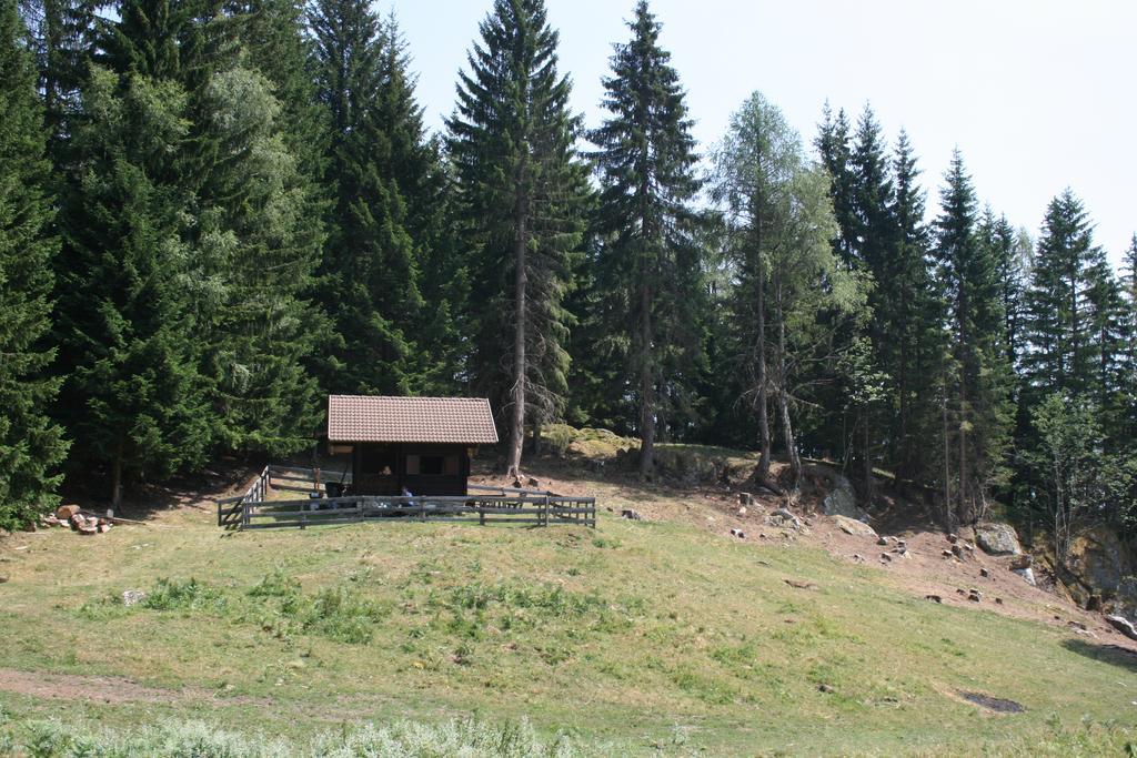 Gaestehaus Berger - Priglhof Hotel Treffen Exterior photo